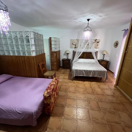 Suite Alhucema Chiclana de la Frontera Eksteriør billede